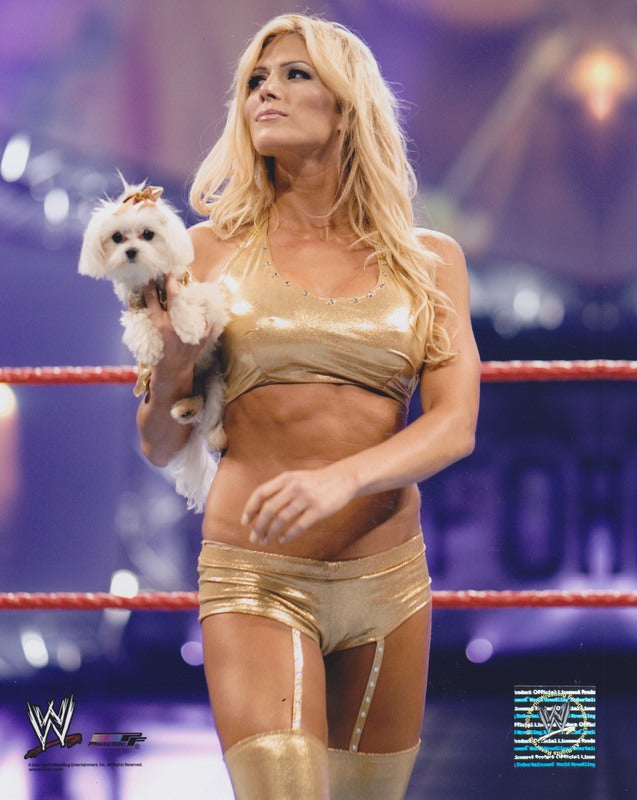 2006 Torrie Wilson Licensed Photofile color PW Catalog