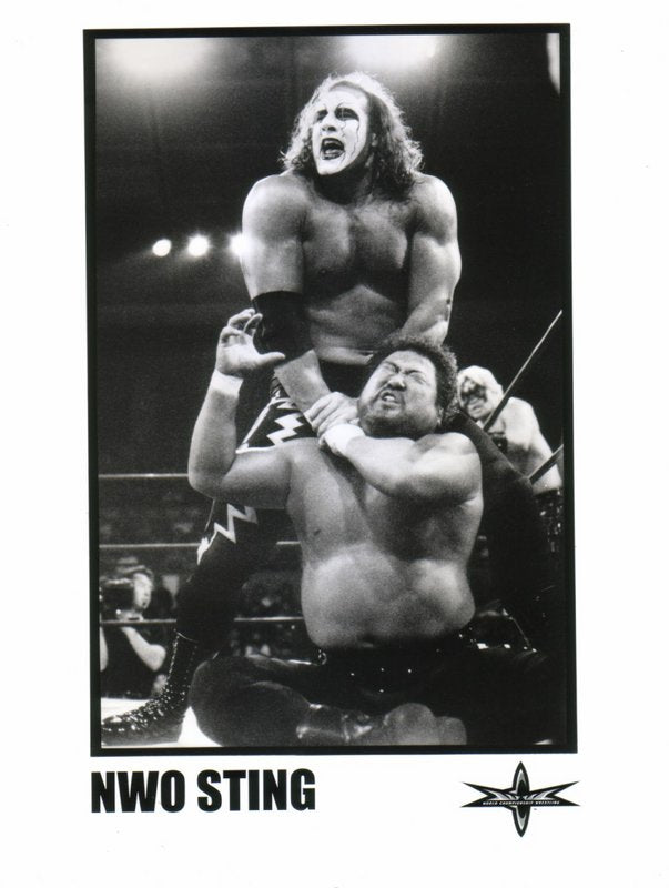 NWO Sting(Jeff Farmer) licensed PW Catalog