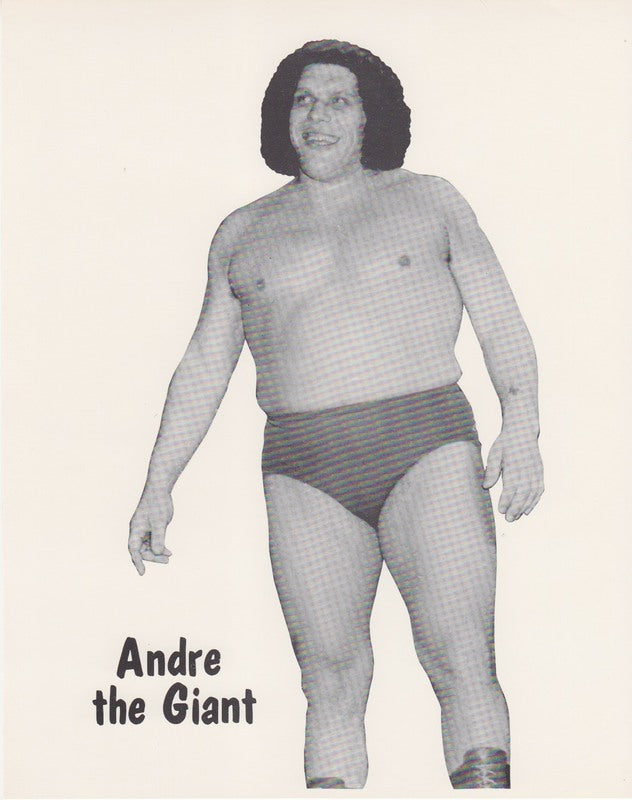 1980's WWWF Andre the Giant Promo Photo PWcatalog