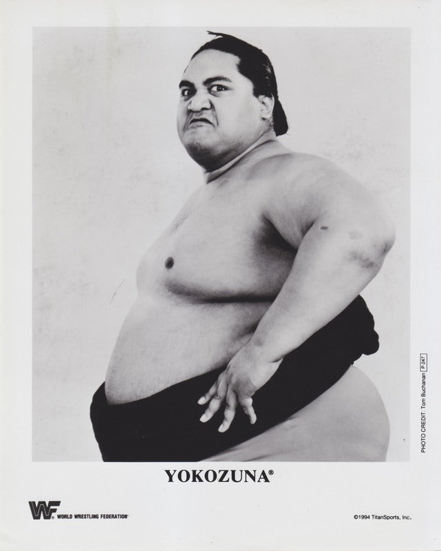 1994 Yokozuna P247 b/w PW Catalog