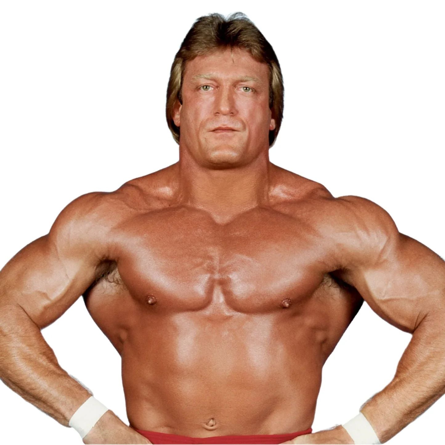 Paul Orndorff