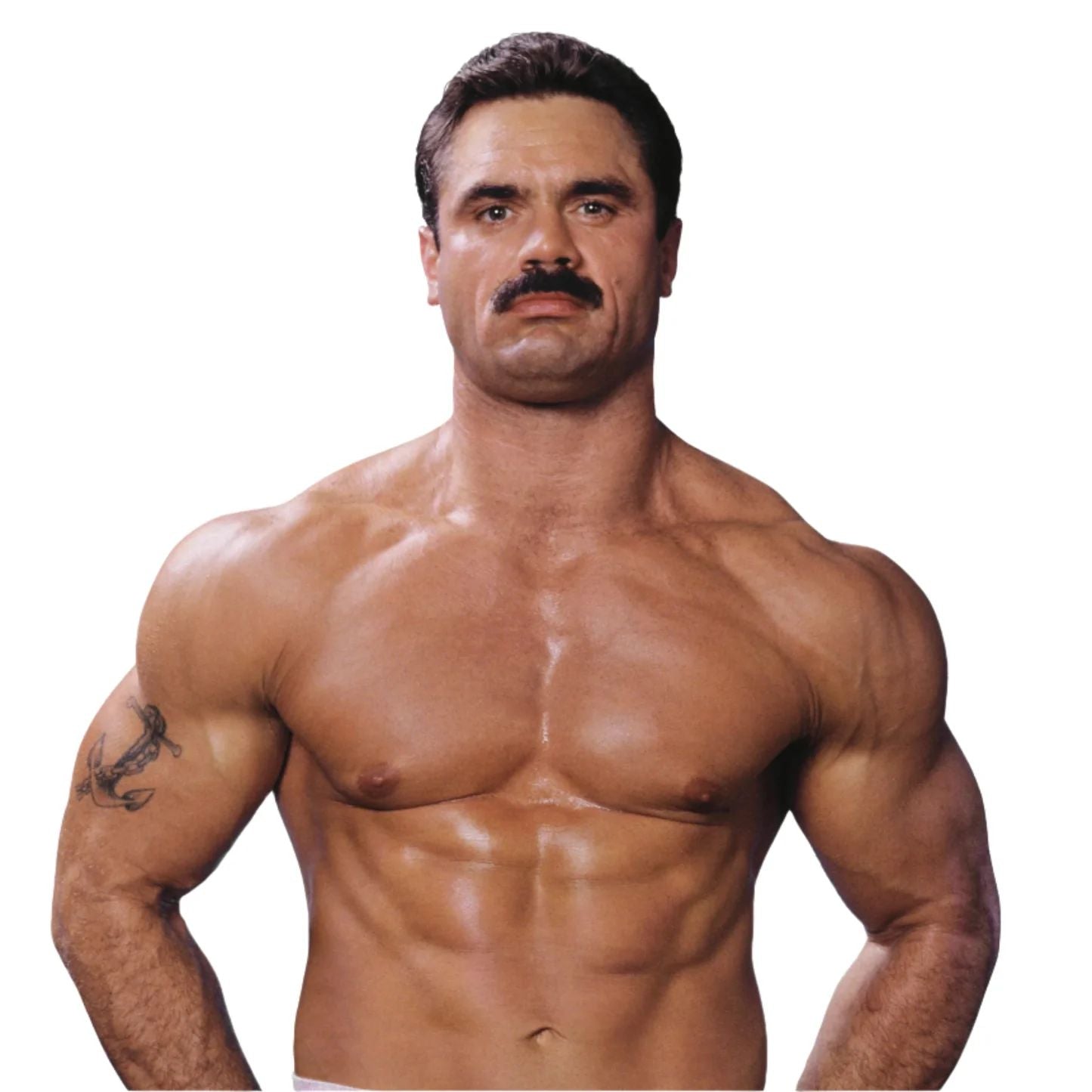 Rick Rude