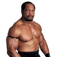 Ron Simmons