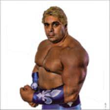 Dino Bravo