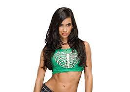 AJ Lee