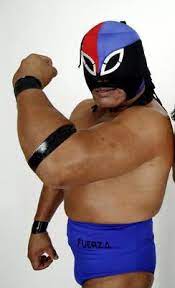 Fuerza Guerrera
