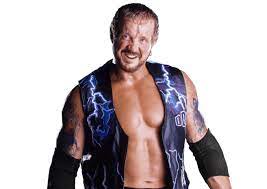 Diamond Dallas Page