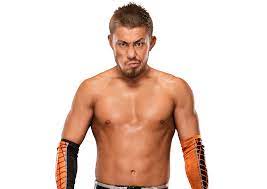 Akira Tozawa