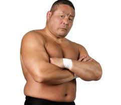 Manabu Nakanishi
