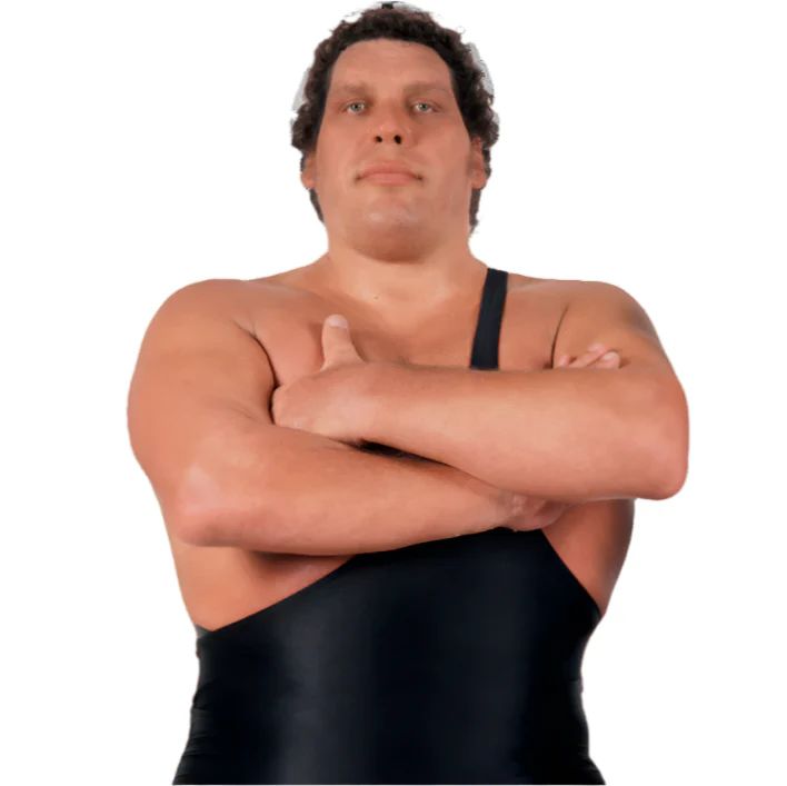 Andre the Giant