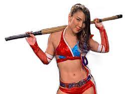 Hikaru Shida