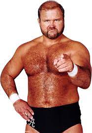Arn Anderson