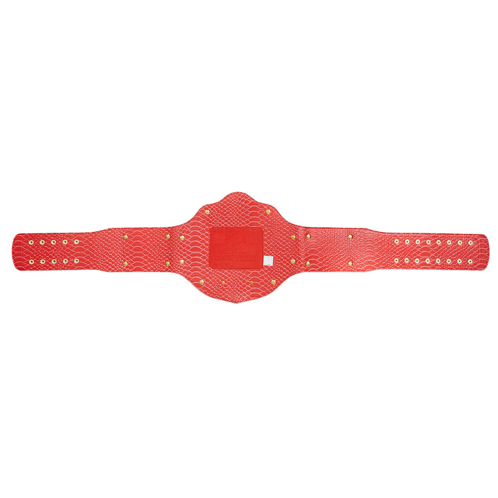 WWE World Heavyweight Championship Replica Title Belt (2mm Version)