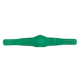 WWE European Championship Replica Title