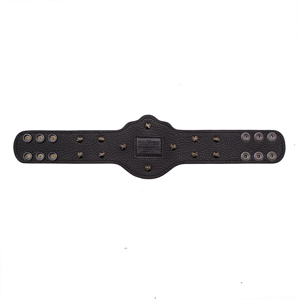 WCW Heavyweight Championship Mini Replica Title Belt 4