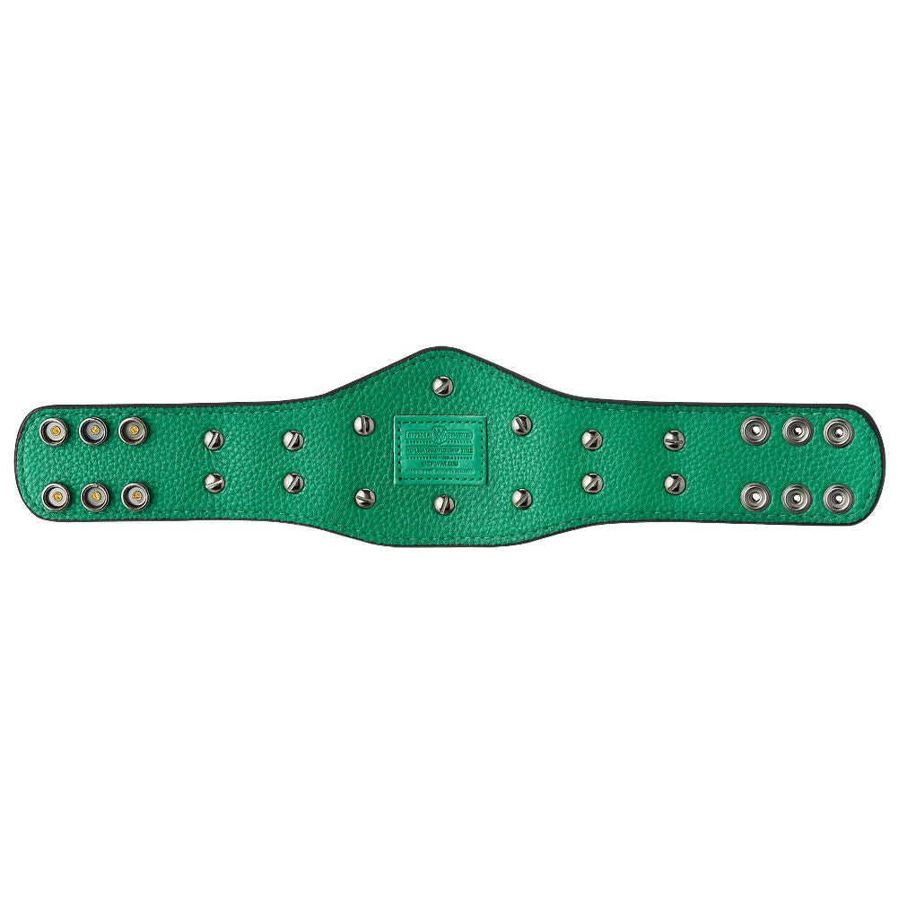 WWE European Championship Mini Replica Title 2