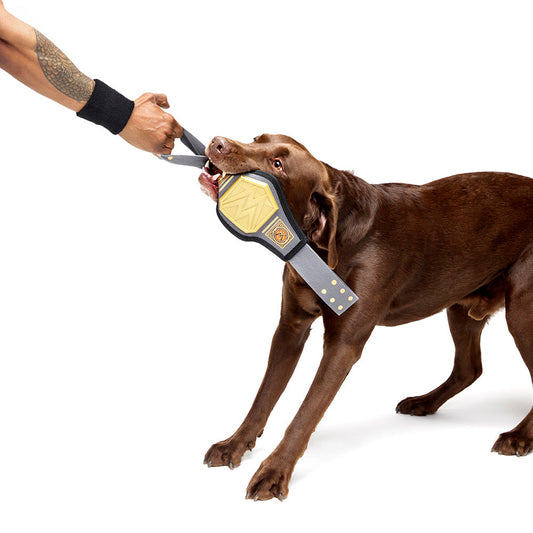 WWE Chompionship Barkbox Super Chewer Small Pet Toy