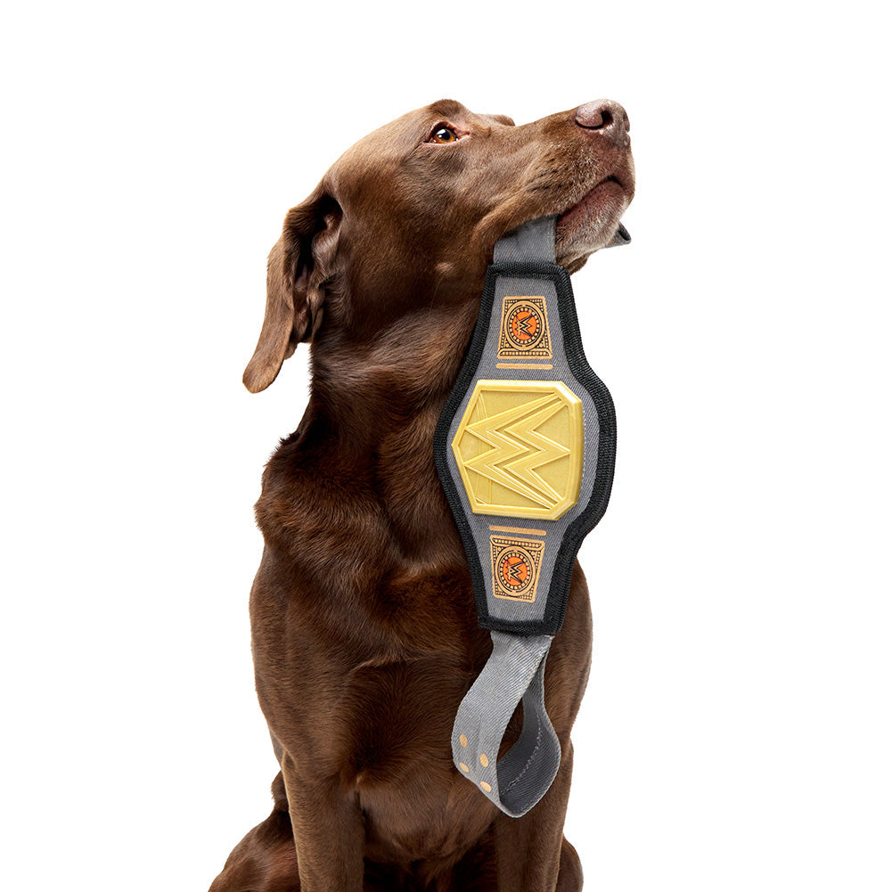 WWE Chompionship Barkbox Super Chewer Small Pet Toy