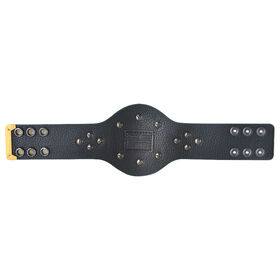 24/7 Championship Mini Replica Title Belt