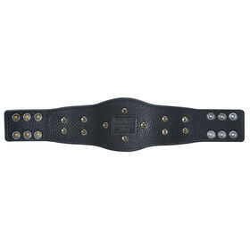 WWE Attitude Era Intercontinental Championship Mini Replica Title