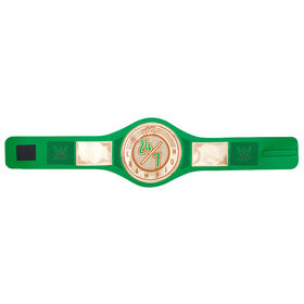 WWE 24/7 Championship Toy Title