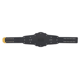 WWE Intercontinental Championship Replica Title (2019)