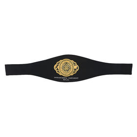 WWE Intercontinental Championship Replica Title (2019)