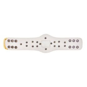 WWE White Winged Eagle Championship Mini Replica Title 2