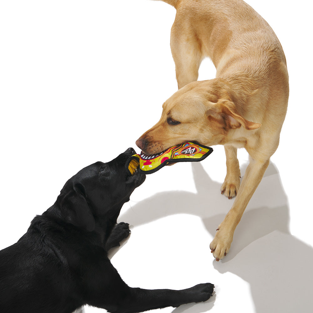 WWE Tug Team Championship Barkbox Large Pet Toy