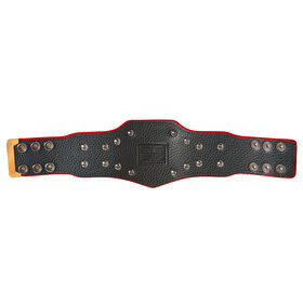 WWE SummerSlam 2019 Championship Mini Replica Title Belt
