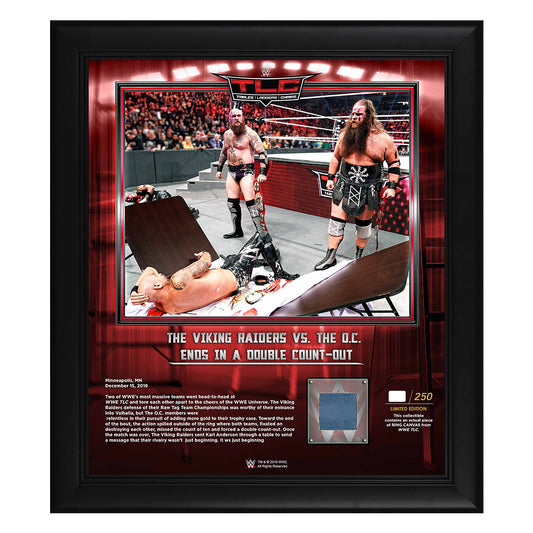 Viking Raiders TLC 2019 15x17 Limited Edition Plaque Plaque PW Catalog