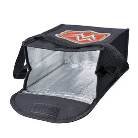 RAW Women's Championship Title Lunch Cooler