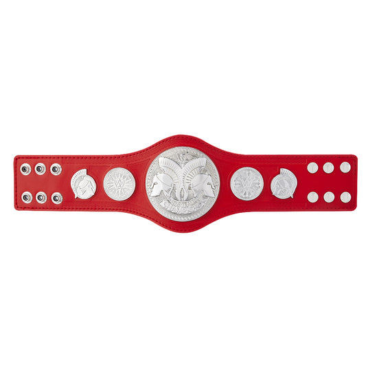 RAW Tag Team Championship Mini Replica Title Belt PW Catalog