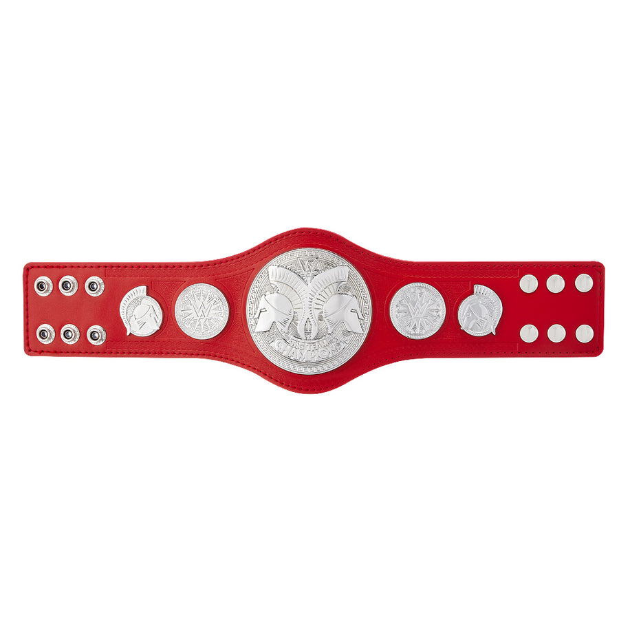 RAW Tag Team Championship Mini Replica Title Belt