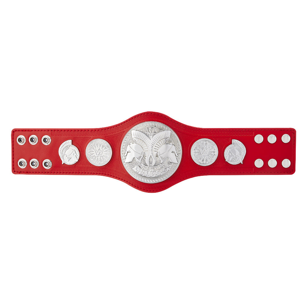 RAW Tag Team Championship Mini Replica Title Belt