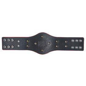 RAW Tag Team Championship Mini Replica Title Belt