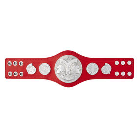 RAW Tag Team Championship Mini Replica Title Belt