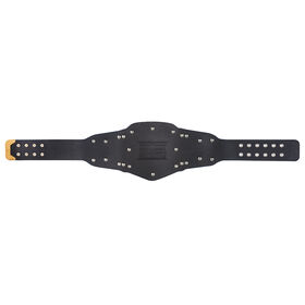 Universal Championship Blue Kids Replica Title