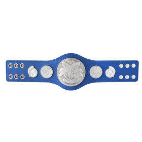 SmackDown Tag Team Championship Mini Replica Title Belt PW Catalog