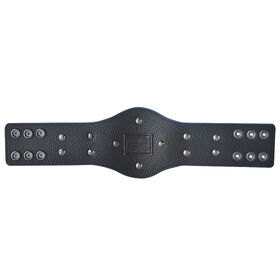 SmackDown Tag Team Championship Mini Replica Title Belt
