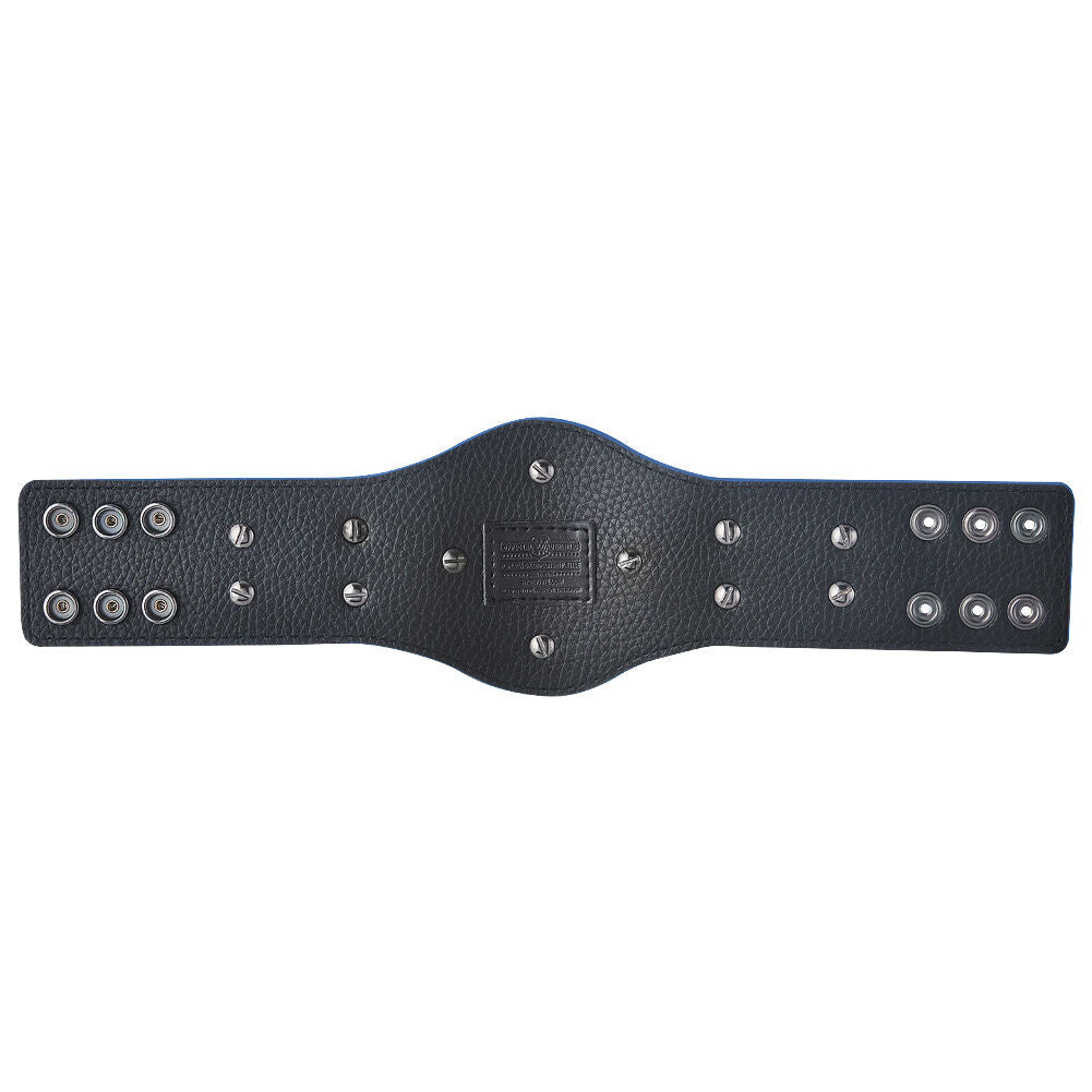 SmackDown Tag Team Championship Mini Replica Title Belt 4