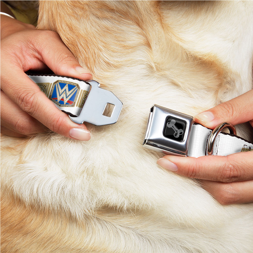 SmackDown Women's Championship Dog Collar 2