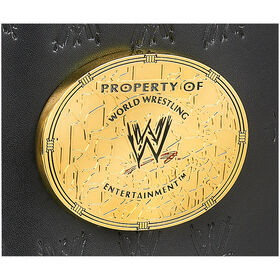WWE Attitude Era Women's Championship Replica Title