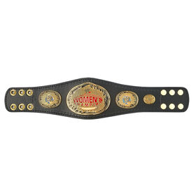 Attitude Era Women's Championship Mini Replica Title Belt