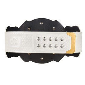 WWE Women's Tag Team Replica Championship Title