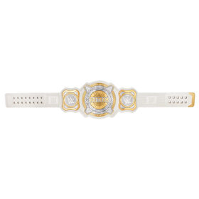 WWE Women's Tag Team Replica Championship Title