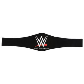WWE Women's Tag Team Replica Championship Title