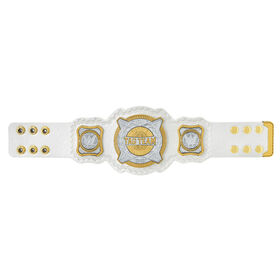 WWE Women's Tag Team Mini Replica Championship Title