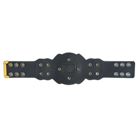 WWE Women's Tag Team Mini Replica Championship Title