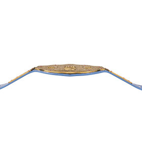 Ric Flair Signature Series Championship Replica Title